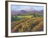 Vineyard Tapestry I-Nanette Oleson-Framed Art Print