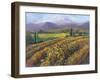 Vineyard Tapestry I-Nanette Oleson-Framed Art Print