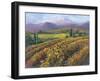 Vineyard Tapestry I-Nanette Oleson-Framed Art Print