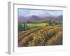 Vineyard Tapestry I-Nanette Oleson-Framed Art Print