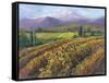 Vineyard Tapestry I-Nanette Oleson-Framed Stretched Canvas