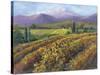 Vineyard Tapestry I-Nanette Oleson-Stretched Canvas
