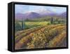 Vineyard Tapestry I-Nanette Oleson-Framed Stretched Canvas