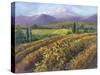 Vineyard Tapestry I-Nanette Oleson-Stretched Canvas