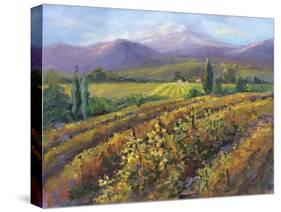 Vineyard Tapestry I-Nanette Oleson-Stretched Canvas