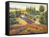 Vineyard Tapestry II-Nanette Oleson-Framed Stretched Canvas