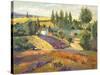 Vineyard Tapestry II-Nanette Oleson-Stretched Canvas