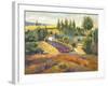 Vineyard Tapestry II-Nanette Oleson-Framed Art Print