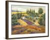 Vineyard Tapestry II-Nanette Oleson-Framed Art Print