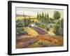 Vineyard Tapestry II-Nanette Oleson-Framed Art Print