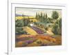 Vineyard Tapestry II-Nanette Oleson-Framed Art Print