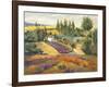 Vineyard Tapestry II-Nanette Oleson-Framed Art Print