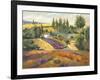 Vineyard Tapestry II-Nanette Oleson-Framed Art Print