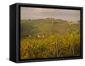 Vineyard, Tuscany, Italy, Europe-Firecrest Pictures-Framed Stretched Canvas