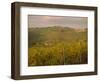Vineyard, Tuscany, Italy, Europe-Firecrest Pictures-Framed Photographic Print