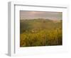 Vineyard, Tuscany, Italy, Europe-Firecrest Pictures-Framed Photographic Print