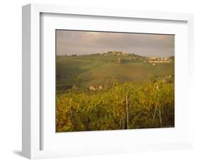 Vineyard, Tuscany, Italy, Europe-Firecrest Pictures-Framed Photographic Print