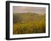 Vineyard, Tuscany, Italy, Europe-Firecrest Pictures-Framed Photographic Print