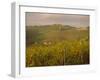 Vineyard, Tuscany, Italy, Europe-Firecrest Pictures-Framed Photographic Print