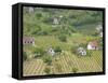 Vineyard View from Calvary Hill, Southern Transdanubia, Hungary-Walter Bibikow-Framed Stretched Canvas