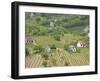 Vineyard View from Calvary Hill, Southern Transdanubia, Hungary-Walter Bibikow-Framed Photographic Print