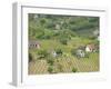 Vineyard View from Calvary Hill, Southern Transdanubia, Hungary-Walter Bibikow-Framed Photographic Print