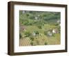Vineyard View from Calvary Hill, Southern Transdanubia, Hungary-Walter Bibikow-Framed Photographic Print