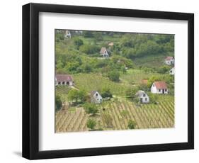 Vineyard View from Calvary Hill, Southern Transdanubia, Hungary-Walter Bibikow-Framed Photographic Print