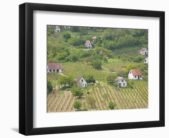 Vineyard View from Calvary Hill, Southern Transdanubia, Hungary-Walter Bibikow-Framed Photographic Print