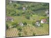 Vineyard View from Calvary Hill, Southern Transdanubia, Hungary-Walter Bibikow-Mounted Photographic Print