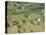 Vineyard View from Calvary Hill, Southern Transdanubia, Hungary-Walter Bibikow-Stretched Canvas