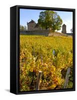 Vineyard View of Chateau de Pierreclos, Burgundy, France-Lisa S. Engelbrecht-Framed Stretched Canvas