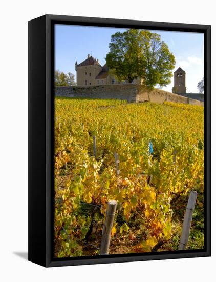 Vineyard View of Chateau de Pierreclos, Burgundy, France-Lisa S. Engelbrecht-Framed Stretched Canvas