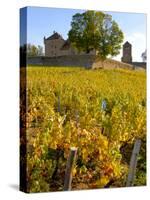 Vineyard View of Chateau de Pierreclos, Burgundy, France-Lisa S. Engelbrecht-Stretched Canvas