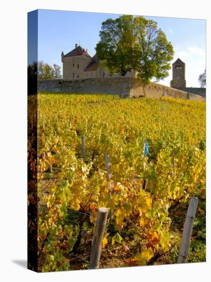 Vineyard View of Chateau de Pierreclos, Burgundy, France-Lisa S. Engelbrecht-Stretched Canvas