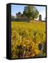 Vineyard View of Chateau de Pierreclos, Burgundy, France-Lisa S. Engelbrecht-Framed Stretched Canvas