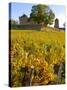 Vineyard View of Chateau de Pierreclos, Burgundy, France-Lisa S. Engelbrecht-Stretched Canvas