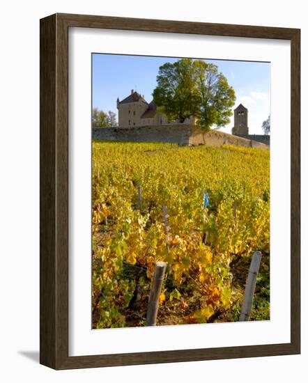 Vineyard View of Chateau de Pierreclos, Burgundy, France-Lisa S. Engelbrecht-Framed Photographic Print