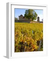 Vineyard View of Chateau de Pierreclos, Burgundy, France-Lisa S. Engelbrecht-Framed Photographic Print