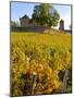 Vineyard View of Chateau de Pierreclos, Burgundy, France-Lisa S. Engelbrecht-Mounted Photographic Print