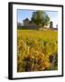 Vineyard View of Chateau de Pierreclos, Burgundy, France-Lisa S. Engelbrecht-Framed Photographic Print