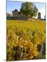 Vineyard View of Chateau de Pierreclos, Burgundy, France-Lisa S. Engelbrecht-Mounted Photographic Print