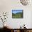 Vineyard, Vincenza, Veneto, Italy, Europe-Vincenzo Lombardo-Framed Stretched Canvas displayed on a wall
