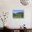 Vineyard, Vincenza, Veneto, Italy, Europe-Vincenzo Lombardo-Stretched Canvas displayed on a wall