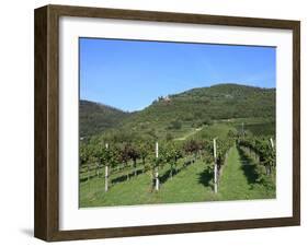 Vineyard, Vincenza, Veneto, Italy, Europe-Vincenzo Lombardo-Framed Photographic Print