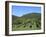 Vineyard, Vincenza, Veneto, Italy, Europe-Vincenzo Lombardo-Framed Photographic Print