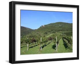 Vineyard, Vincenza, Veneto, Italy, Europe-Vincenzo Lombardo-Framed Photographic Print