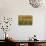 Vineyard, Vines, Autumn, Vines, Leaves-Herbert Kehrer-Stretched Canvas displayed on a wall