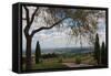 Vineyard Vista-Erin Berzel-Framed Stretched Canvas