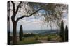 Vineyard Vista-Erin Berzel-Stretched Canvas